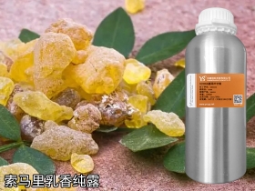 YS乳香純露 | 產(chǎn)自索馬里的肌膚修復(fù)能手，什么膚質(zhì)適合使用它？