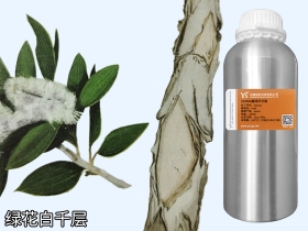 YS綠花白千層油 | 是皮膚與粘膜的守護(hù)神，還能制作漱口水，你知道嗎？