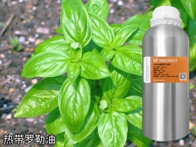YS熱帶羅勒油 | 帶八角香氣的香水常用原料，也是消炎止痛抑菌能手