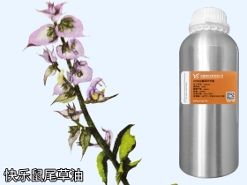 YS快樂(lè)鼠尾草油 | 如果能說(shuō)話(huà)，它的口頭禪一定是“做人，最重要是開(kāi)心”